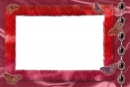 Drugeliai 