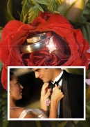 Vestuviniai žiedai rožėje 