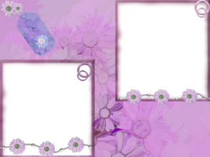 Violetinės gėlės 