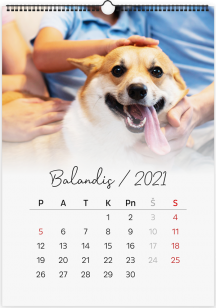 Dvylikos lapų kalendorius 